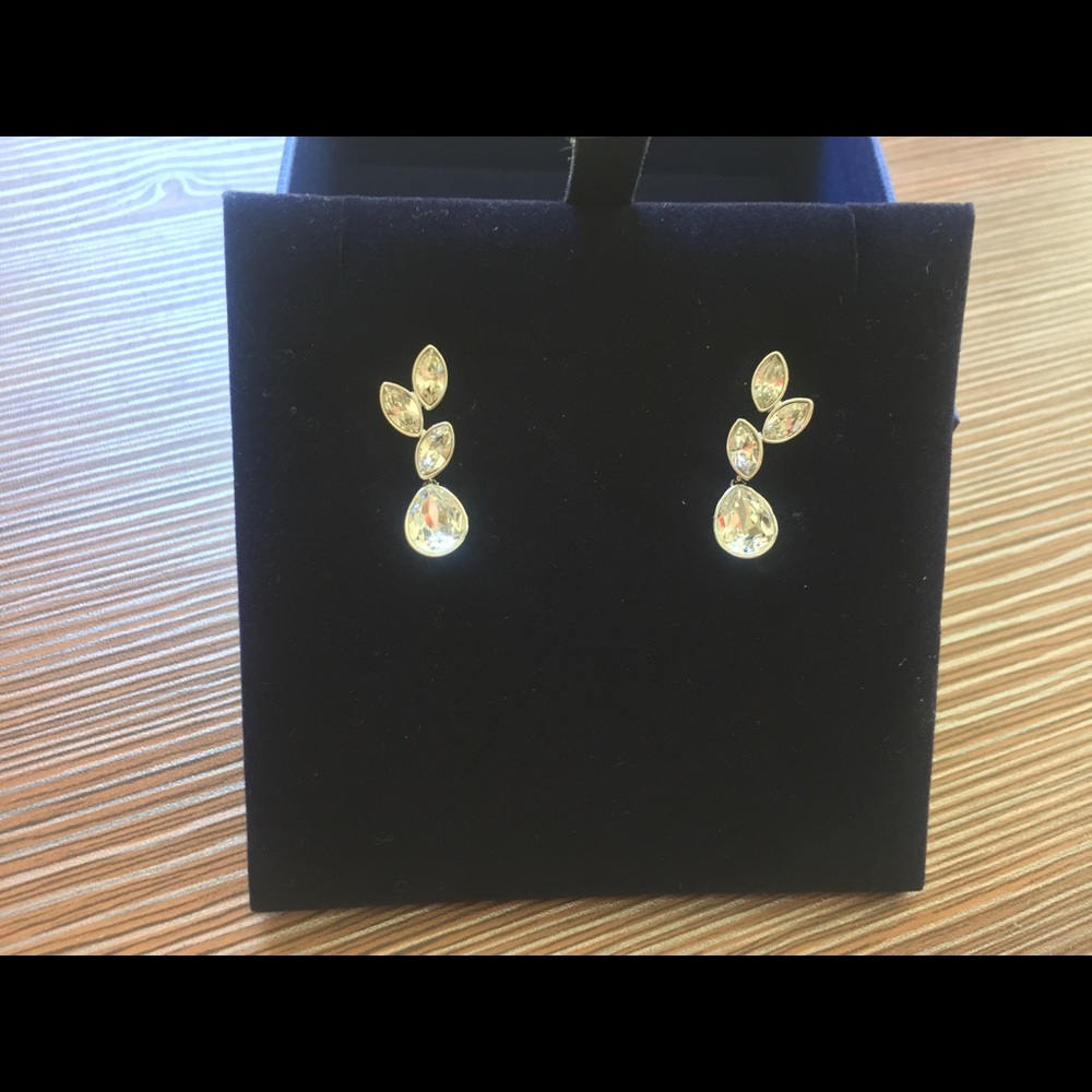 Beautiful Tranquility Pierced Earrings